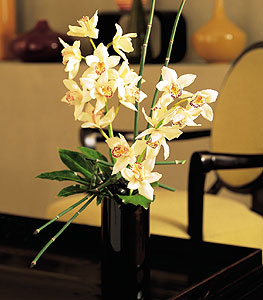  Bartn iekiler  cam yada mika vazo ierisinde dal orkide