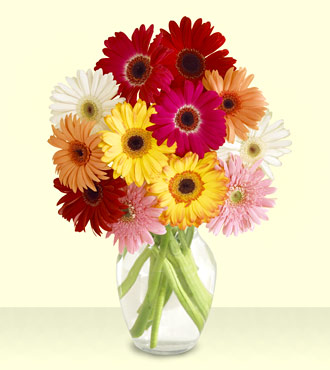  Bartın çiçek yolla , çiçek gönder , çiçekçi   cam yada mika vazoda 15 özel gerbera
