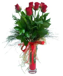 vazo içerisinde 5 kırmızı gül  Bartın güvenli kaliteli hızlı çiçek 