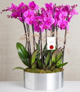 11 dall mor orkide metal vazoda  Bartn iek gnderme sitemiz gvenlidir 