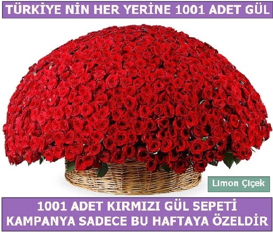 1001 Adet kırmızı gül Bu haftaya özel  Bartın İnternetten çiçek siparişi 