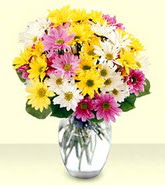  Bartın internetten çiçek siparişi  mevsim çiçekleri mika yada cam vazo