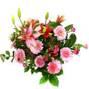 lilyum ve gerbera çiçekleri - çiçek seçimi -  Bartın çiçek gönderme 