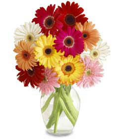  Bartın uluslararası çiçek gönderme  cam vazo içerisinde karisik gerbera çiçekleri