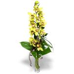  Bartın İnternetten çiçek siparişi  cam vazo içerisinde tek dal canli orkide