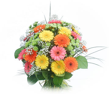 13 adet gerbera çiçegi buketi  Bartın online çiçek gönderme sipariş 
