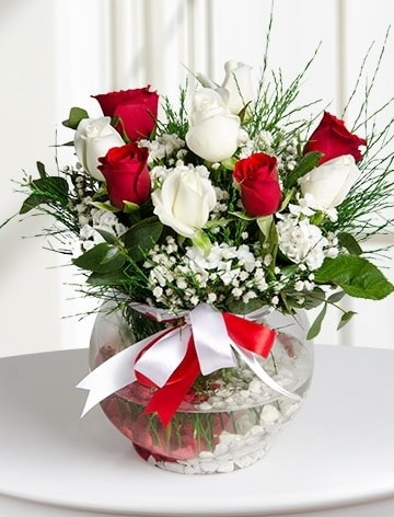 Aşk Küresi  5 beyaz 5 kırmızı gül fanusta  Bartın internetten çiçek satışı 